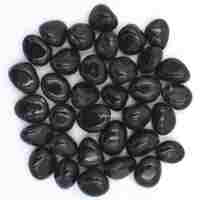 Black Obsidian Tumbled Stones [Small]